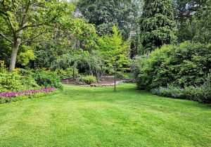 Optimiser l'expérience du jardin à Chateau-Ville-Vieille